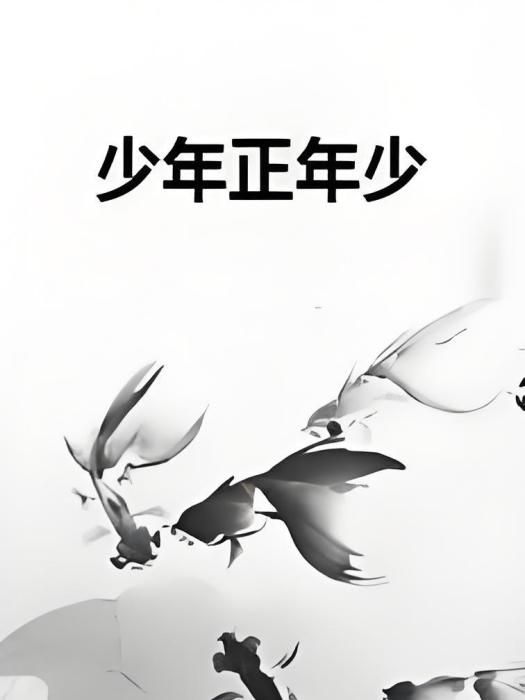 少年正年少 少年正年少