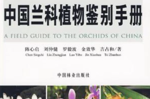 中國蘭科植物鑑別手冊