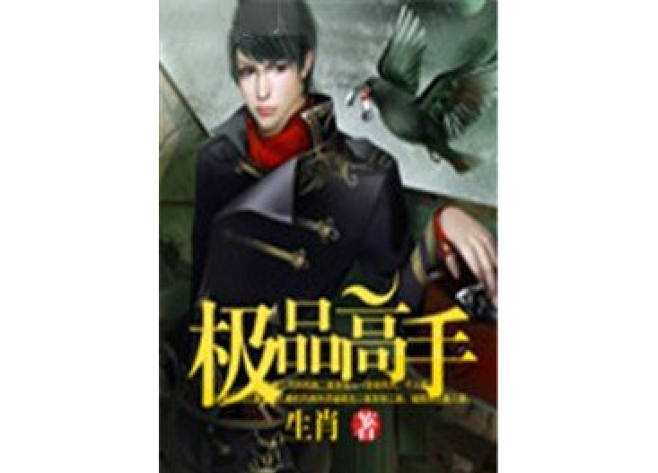 極品高手(生肖所著小說) 極品高手(生肖所著小說)