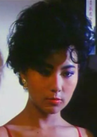 天羅地網(中國香港1988年黃志強執導電影)