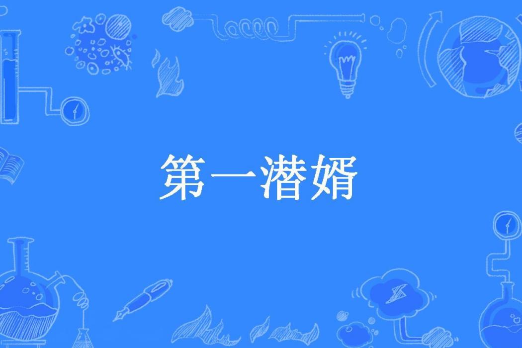 第一潛婿