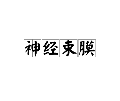 神經束膜 神經束膜