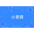 小青荷 小青荷