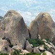 岳石文化遺址 岳石文化遺址