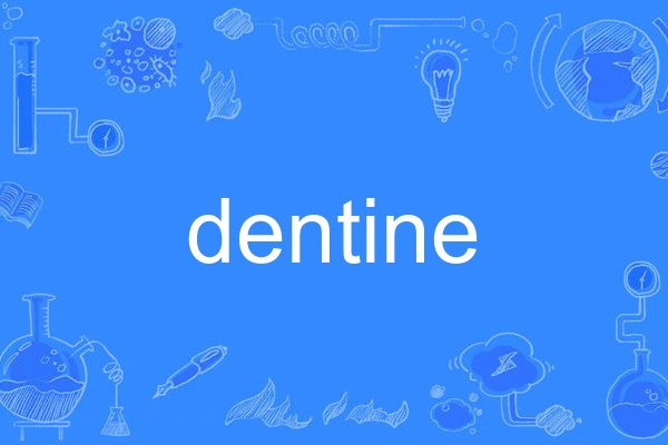 dentine dentine