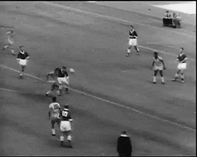 1958年瑞典世界盃(瑞典世界盃)