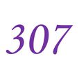 307(自然數之一) 307(自然數之一)