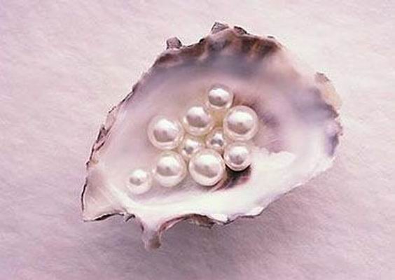 貝殼珍珠
