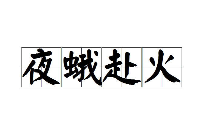 夜蛾赴火 夜蛾赴火