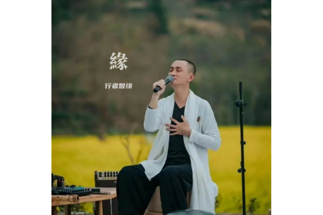 緣(智緣演唱的歌曲) 緣(智緣演唱的歌曲)