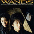 時之扉(WANDS單曲) 時之扉(WANDS單曲)