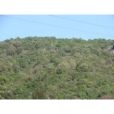 乾溝箐村(雲南省昆明市富民縣款莊鄉下轄村) 乾溝箐村(雲南省昆明市富民縣款莊鄉下轄村)