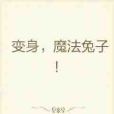 變身魔法兔子 變身魔法兔子