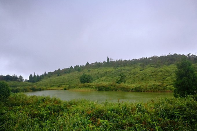 雁湖崗 雁湖崗