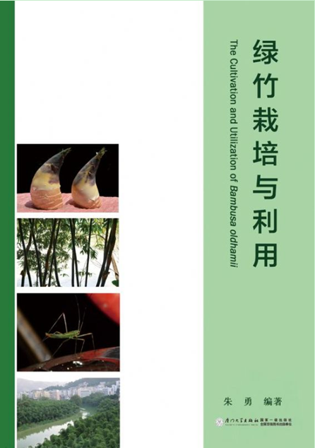 綠竹栽培與利用