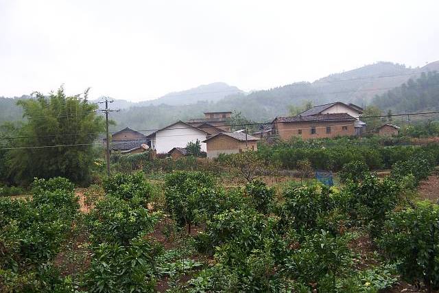 土石村(廣東省湛江市廉江市良垌鎮下轄村) 土石村(廣東省湛江市廉江市良垌鎮下轄村)