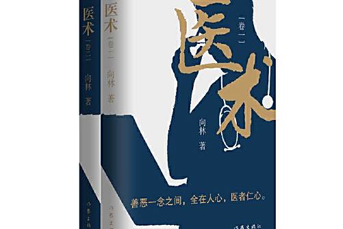 醫術(2020年作家出版社出版的圖書) 醫術(2020年作家出版社出版的圖書)