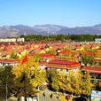 韓河村 韓河村