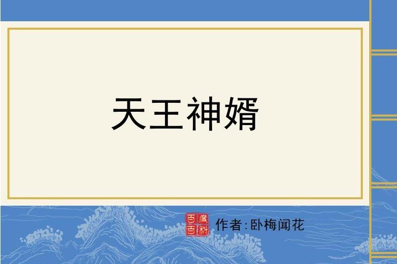 天王神婿 天王神婿