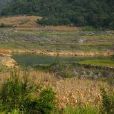 硝廠村(雲南省文山州廣南縣珠琳鎮硝廠村) 硝廠村(雲南省文山州廣南縣珠琳鎮硝廠村)