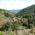 同家溝村 同家溝村