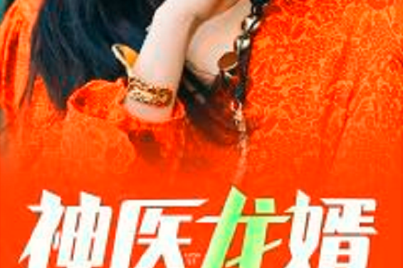 神醫龍婿(黑岩網小說) 神醫龍婿(黑岩網小說)