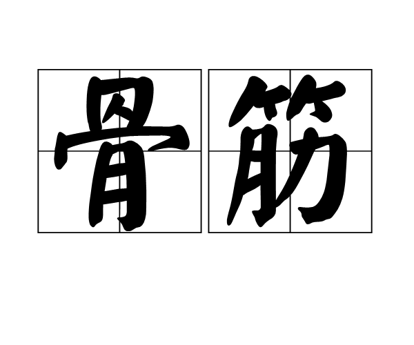 骨筋 骨筋
