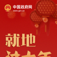 就地過年(原地過年) 就地過年(原地過年)