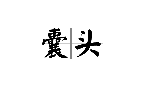 囊頭 囊頭