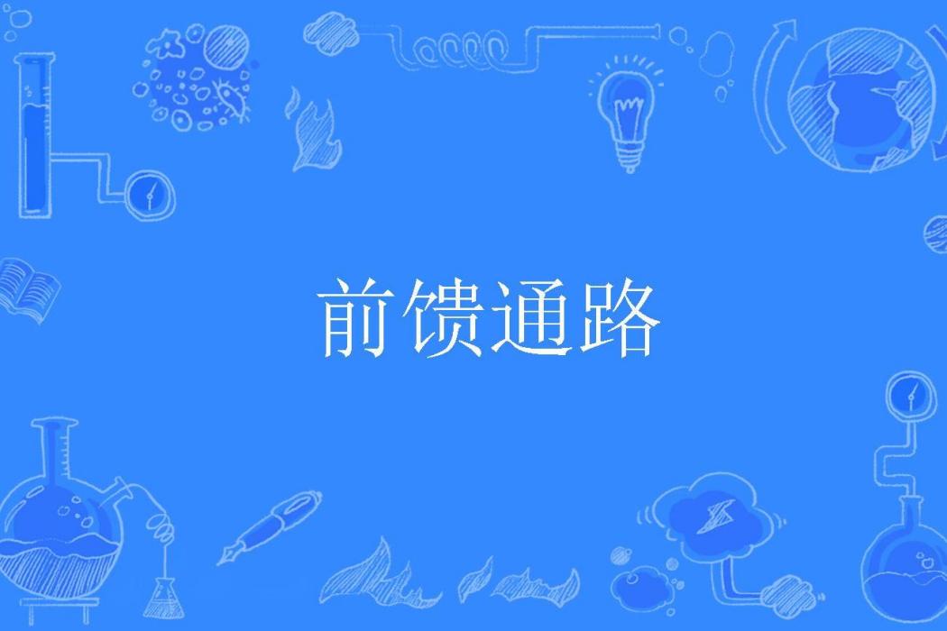前饋通路 前饋通路