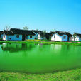 九龍灣景區(九龍灣景區) 九龍灣景區(九龍灣景區)