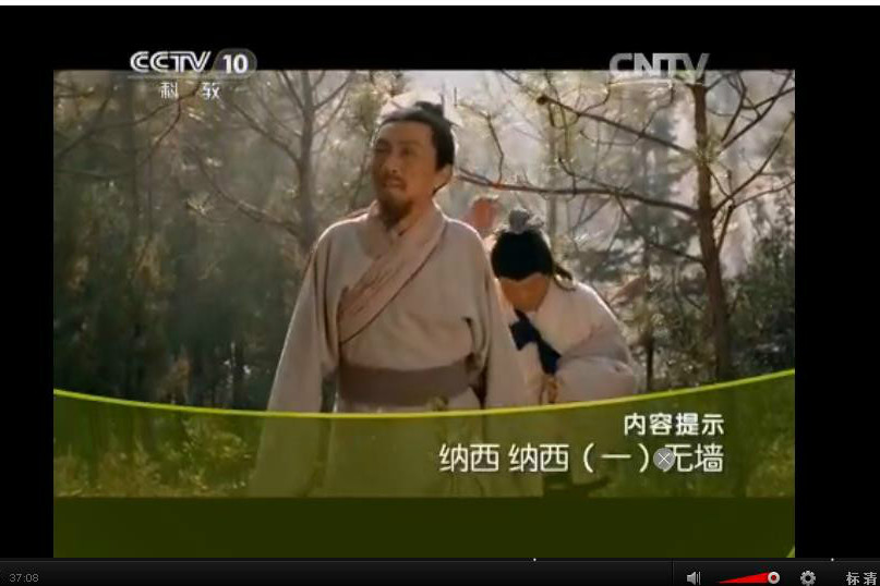 納西納西
