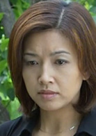 征服(2003年高群書執導電視劇)