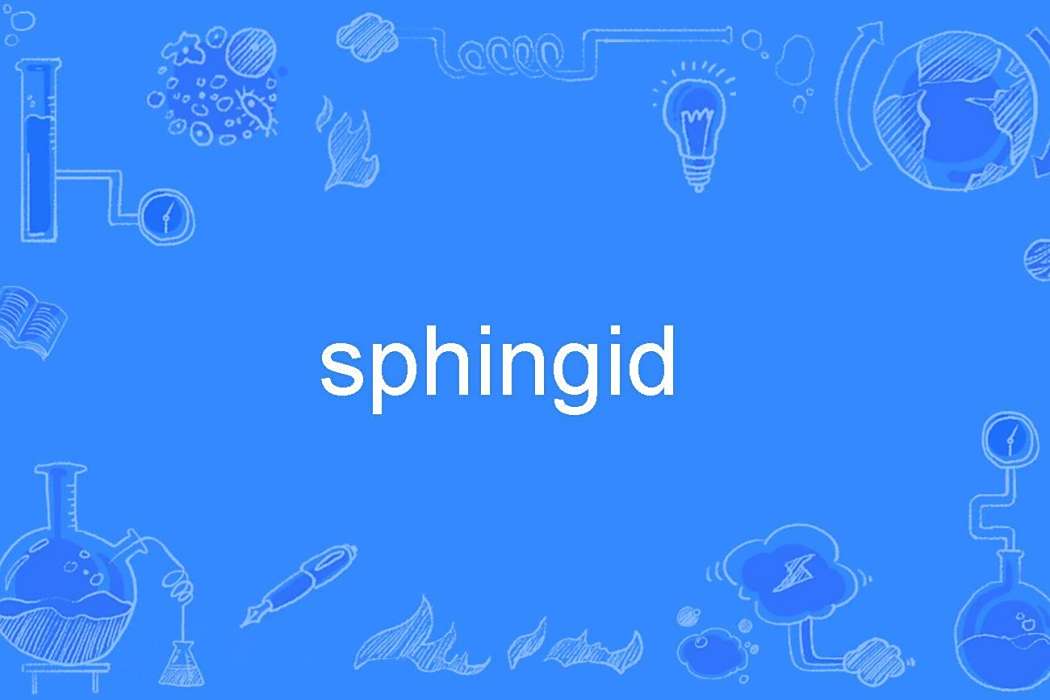 sphingid sphingid