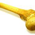 bone(英語單詞) bone(英語單詞)