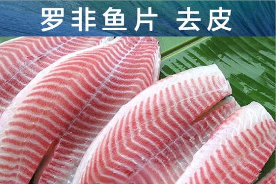 凍魚片 凍魚片