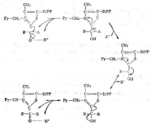 葡萄糖—6—磷酸脫氫氫酶缺陷症