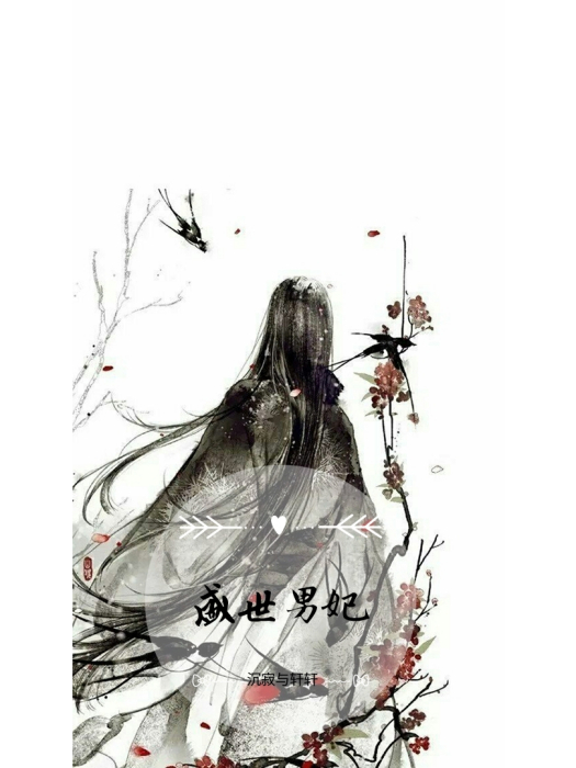 盛世男妃