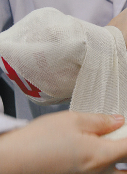 野波麻帆 野波麻帆