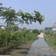 高李村(河南省南陽市鄧州市陶營鄉高李村) 高李村(河南省南陽市鄧州市陶營鄉高李村)