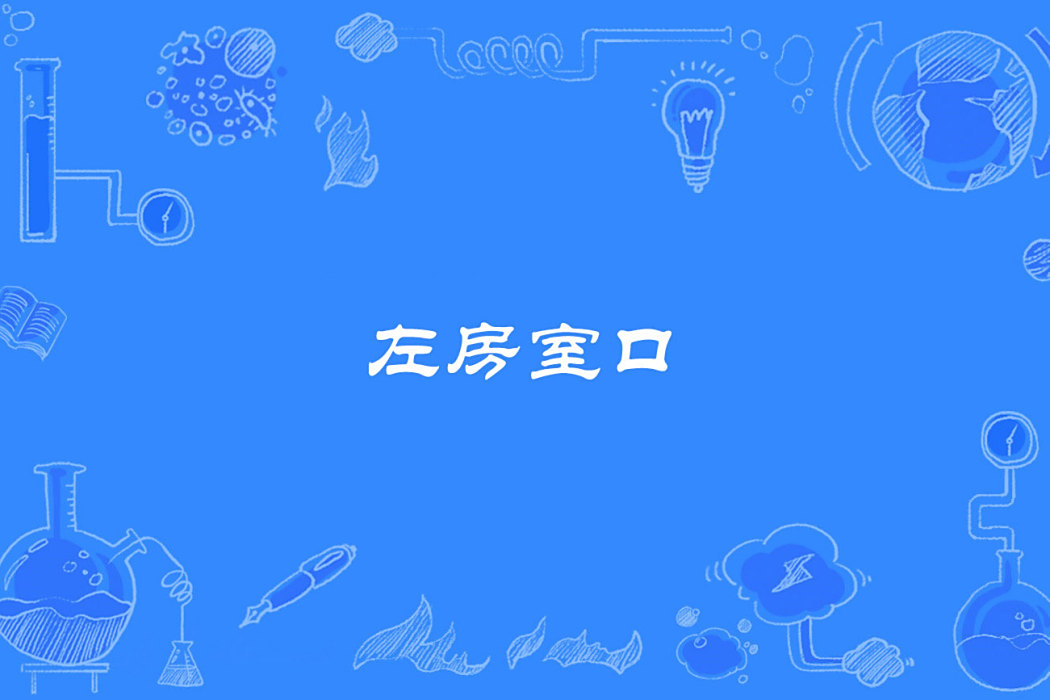 左房室口 左房室口