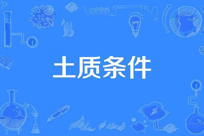 土質條件 土質條件