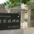 魯紫銘碑林 魯紫銘碑林