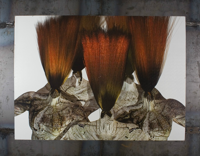 “樹結髮+2”金屬印製，2005， 藝術家提供