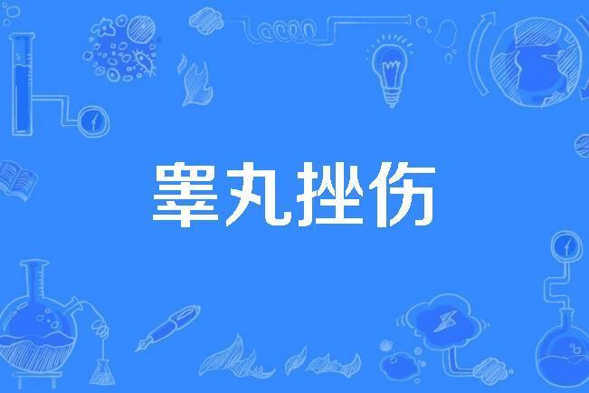 睪丸挫傷 睪丸挫傷