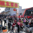王桐村 王桐村