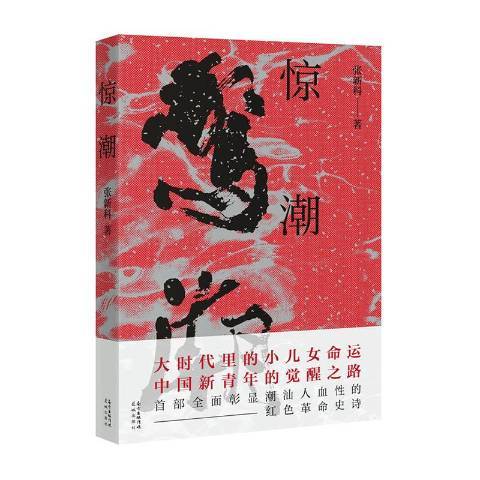 驚潮(2021年花城出版社出版的圖書) 驚潮(2021年花城出版社出版的圖書)