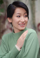 女人的選擇(楊小雄執導電視劇) 女人的選擇(楊小雄執導電視劇)