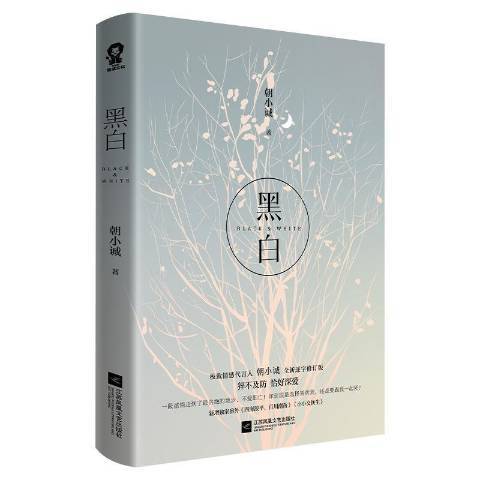 黑白(2021年江蘇鳳凰文藝出版社出版的圖書) 黑白(2021年江蘇鳳凰文藝出版社出版的圖書)