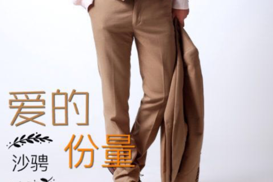 愛的份量 愛的份量